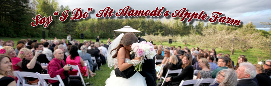 mn-orchard-wedding