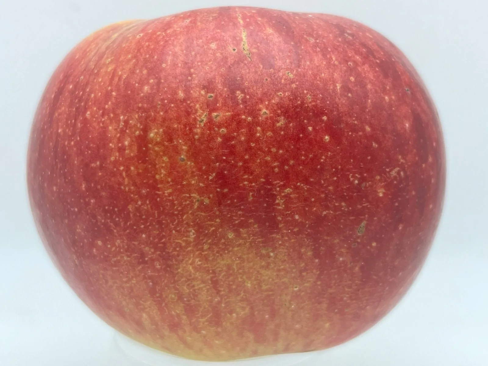 Fireside apple