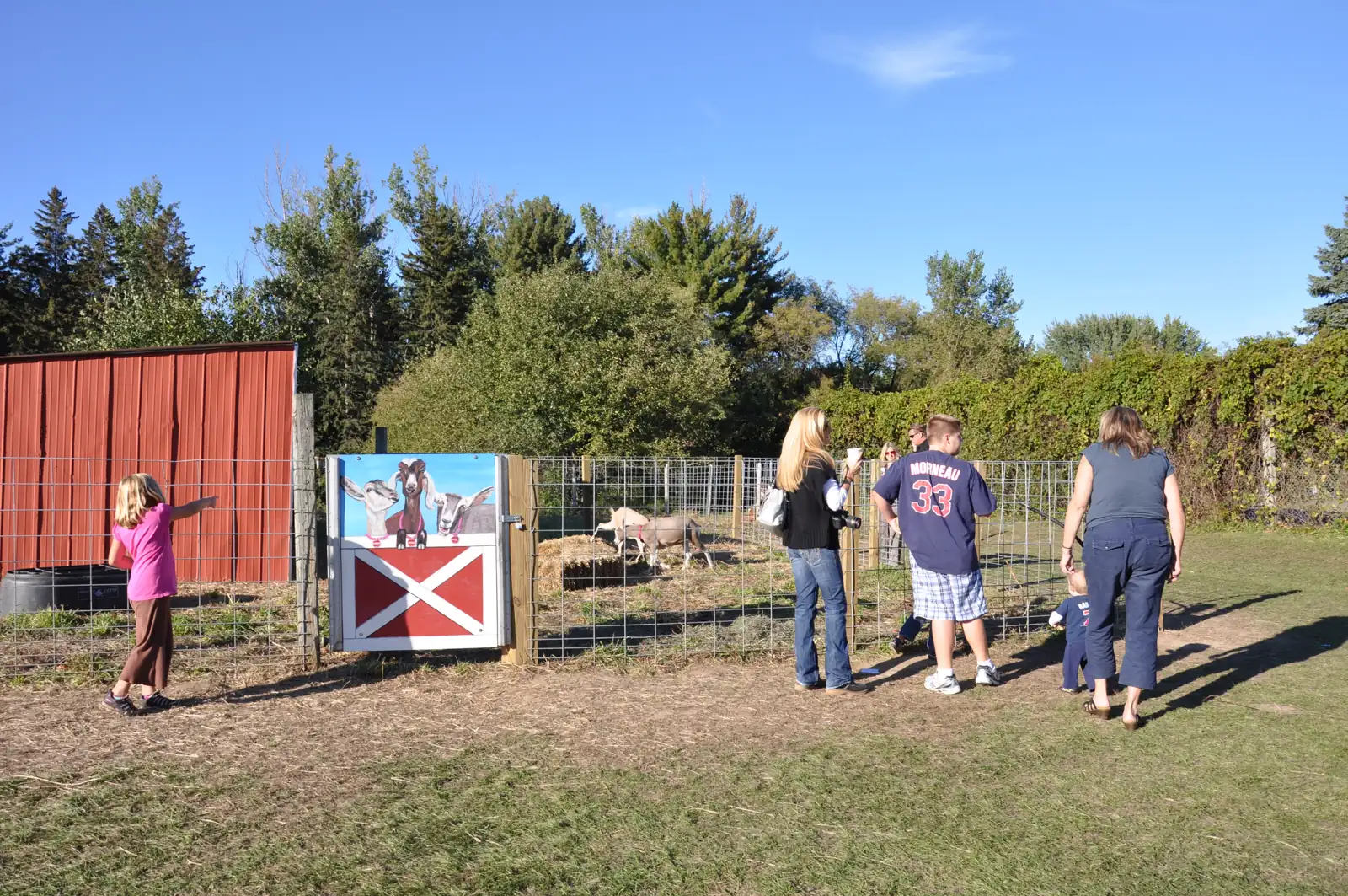 Families visiting the goat pen at Aamodt's
