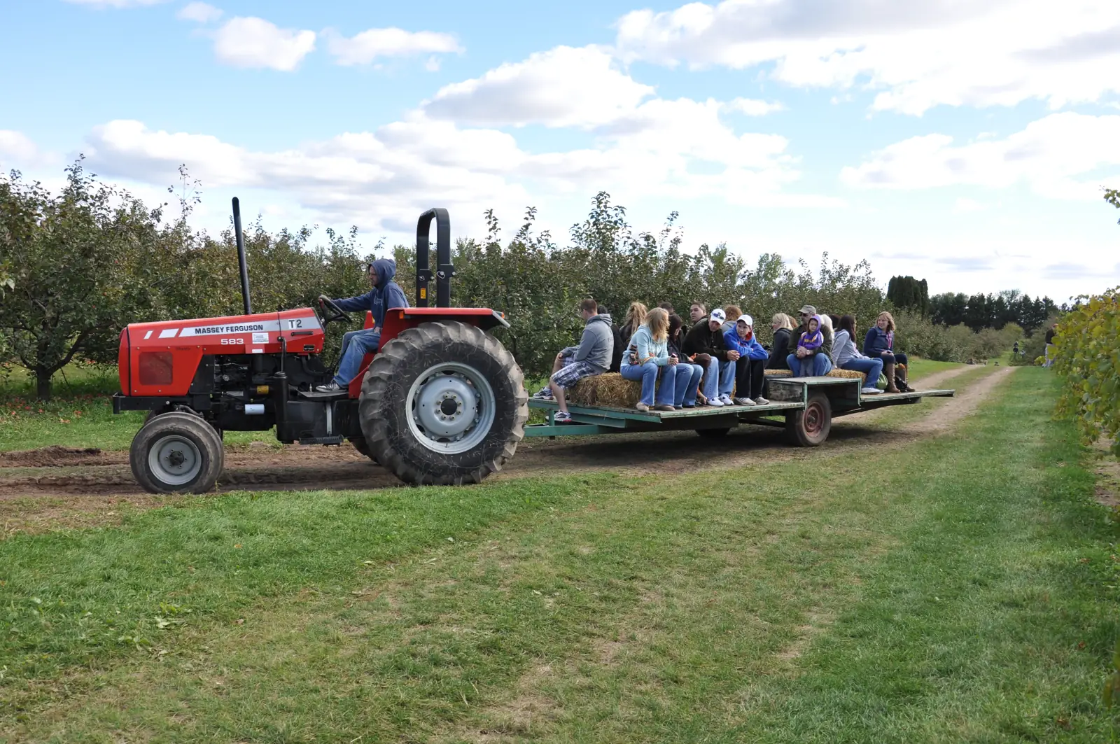 Wagon ride through the orchard rows at Aamodt's