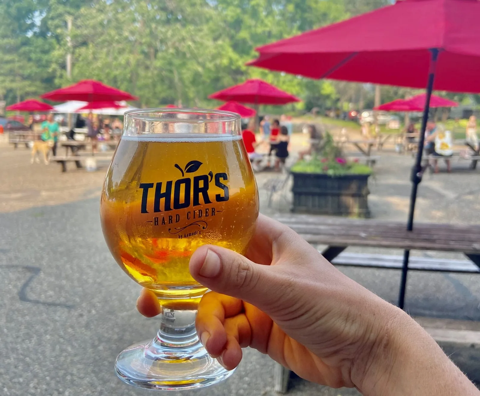 Thor's Hard Cider